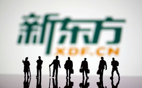 布局文旅再創(chuàng)業(yè) 新東方能否再造第二個(gè)“東方甄選”？